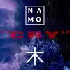 TR33 & Namo - Cry - Single