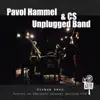 Pavol Hammel & CS Unplugged Band - Cirkus leto (Live)