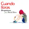 Despistaos - Cuando Lloras (feat. David Rees) - Single