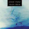 Ziggy Splynt - Smash / Break - Single