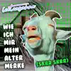 iceteasahne - Wie ich mir mein Alter merke (Skrr Skrr) - Single