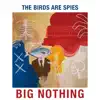 The Birds are Spies - Big Nothing - EP