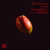 the intern, lvl & The Pinch - mangifera indica - Single