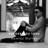 Ramles Walter - Pengerindu Lebu - Single