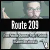 insaneintherainmusic - Route 209 - Single