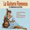 Various Artists - La Guitarra Flamenca (Flamenco Guitar)