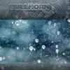 Canada - Snowstorm - Single