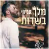 Avichay - מלך בשדות - Single