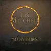 James Ray Mitchell - Slow Burn (Demo) - Single