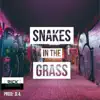 Rick Green the Artist - Snakes in the Grass - Single