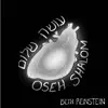 Beth Reinstein - Oseh Shalom - Single