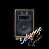 Saloomye - Speaker