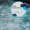 Rain Recordings & Everyday Rain Stories - Rain Wonders - Occasional Rain Melodies