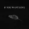 Josh Rolffs - If You Want Love - Single