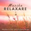 Relaxare Flaut - Muzica Relaxare - Relaxare cu Flaut Pentru a Calma Mintea