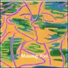 Nya the Papaya - Missing You - Single