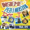 Various Artists - Insieme per i nostri Dee J., vol. 24