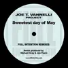 Joe T Vannelli Project - Sweetest Day of May - Single