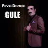 Fevzi Dırmık - Gule