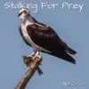 NEIL CROSS - Stalking for Prey - Single