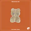 Cherry Zard - Breaking Me - Single