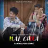 Bijay Anand Sahu - Nal Chua (Original) - Single