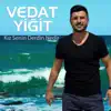 Vedat Yiğit - Kız Senin Derdin Nedir - Single