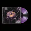 JORDN - Purple Rose