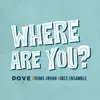 D.O.V.E. Drums Organ Vibes Ensemble - Where Are You?