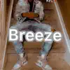 Ssb Dell - Breeze - Single