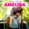 David Lutalo - Amelida - Single