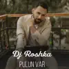 Dj Roshka - Pulun var - Single