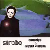 canariya & MUSHA × KUSHA - Strobo