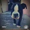 Tony Slumz - Prophet's Eyes (feat. Leon Da Prophet) - Single