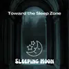 Sleeping Moon, Instrumental Sleeping Music & Sleep Music Healing - Toward the Sleep Zone