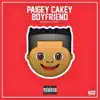 Paigey Cakey - Boyfriend - Single