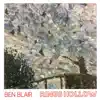 Ben Blair - Rings Hollow