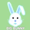 21 ROOM, Big Bunny, Mama Maestro & Bunny House - New To You