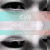 rains or not - Eye - Single