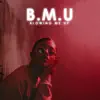 Shaz Delicious - B.M.U - Single