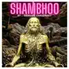 Saurabh Chaudhary - Shiva Shambhu Shambhu - Single