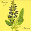 Amaru - Sauge - Single