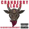 Bigbossbangout - Cranberry Flags - Single