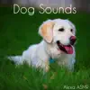 Alexa ASMR - Dog Sounds - Single