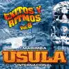 Marimba Usula Internacional - Éxitos y Ritmos Vol. 8