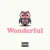 $kinny - Wonderful - Single