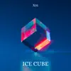 X31 - Ice Cube - Single