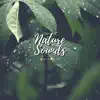 Cricket Sounds, Nature Sounds Collabo & Zen Master - Nature Sounds For Calming - EP