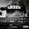 GrindStein - Snakes in the Grass (feat. Wallo267) - Single