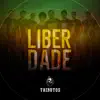 Banda Tributos - Liberdade